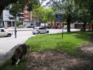 Mattie Gets to the Park