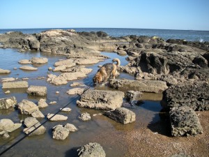 Standing in the Water