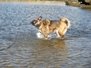 Mattie Getting Less Wet